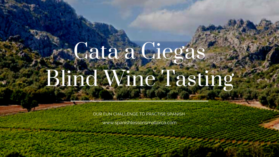 Cata a Ciegas Blind Wine Tasting Mallorca